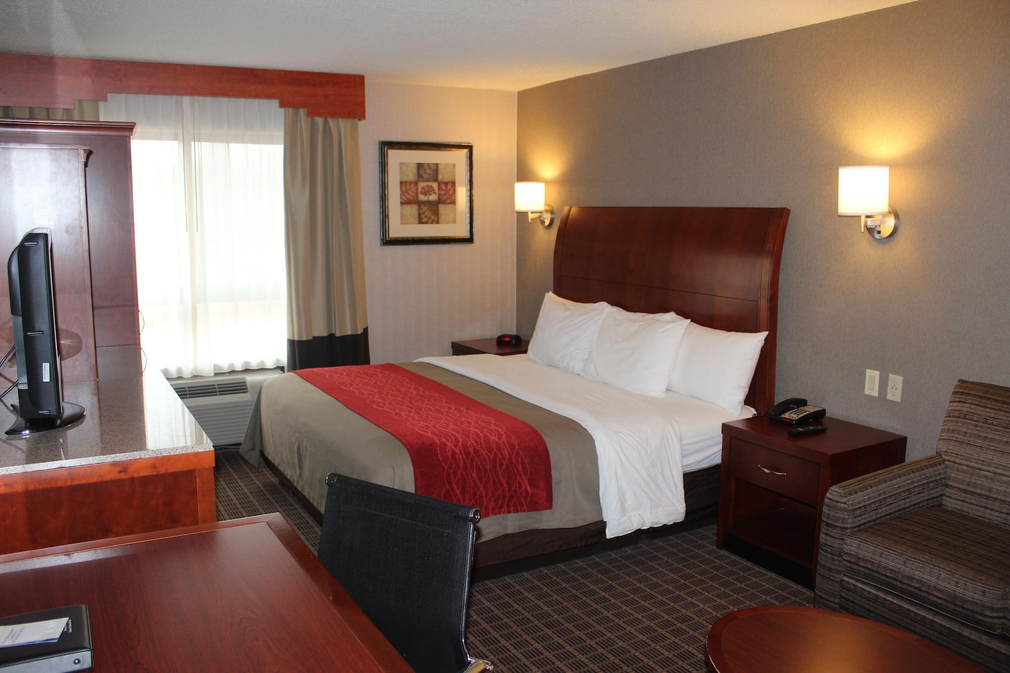 Comfort Inn & Suites West Springfield Esterno foto