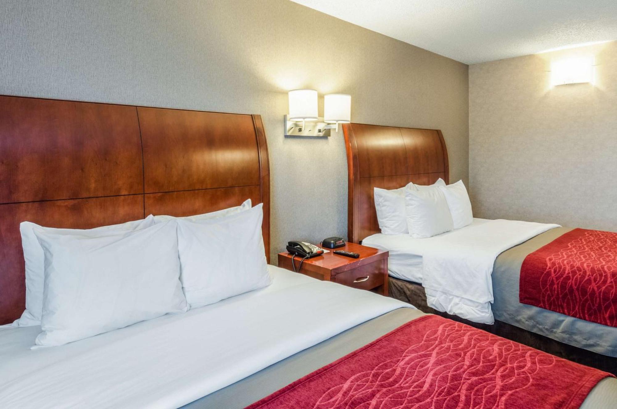 Comfort Inn & Suites West Springfield Esterno foto